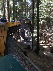 BigTrees - Dixana Locomotive over wooden bridge
