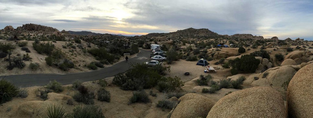 joshua tree panorama 00