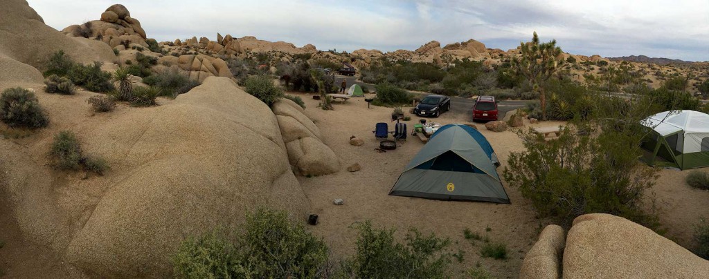 joshua tree panorama 01