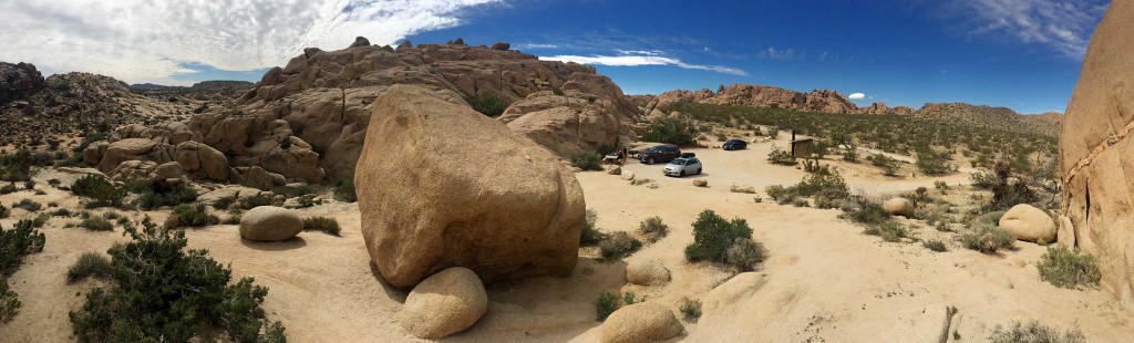 joshua tree panorama 02