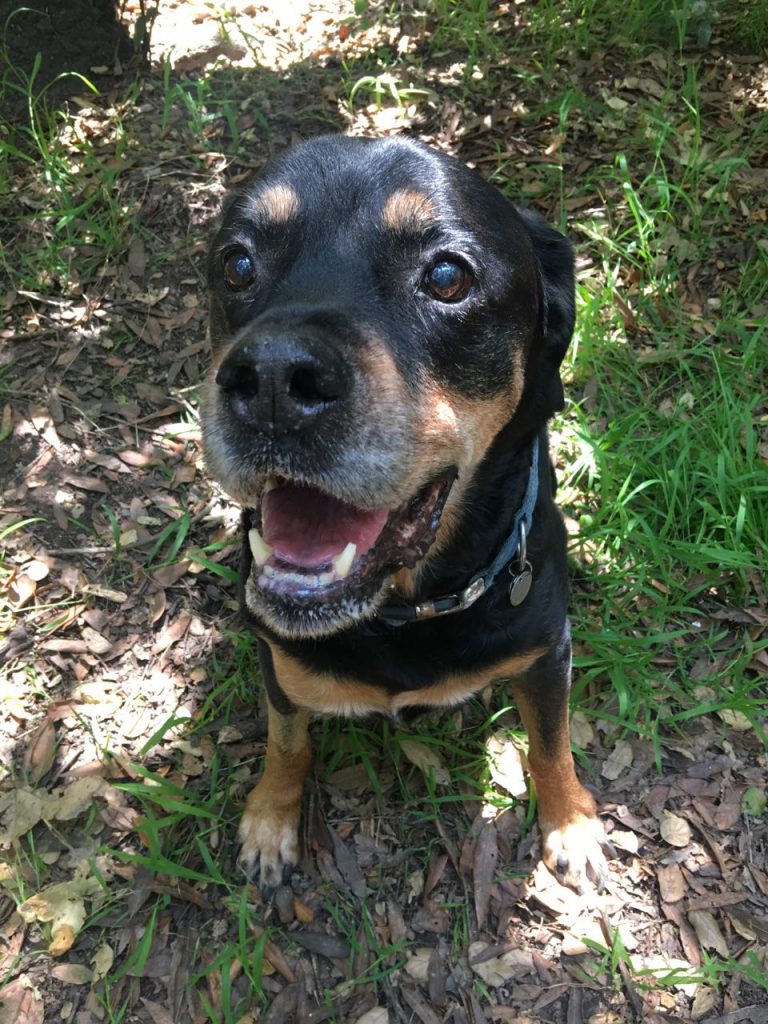 Sam Outside