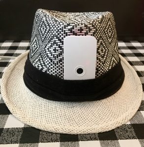 DEFCam hat