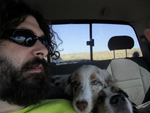 be3n traveling with dogs