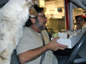 In-N-Out Drive through with dog